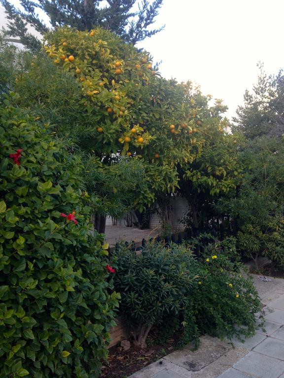 Paphos Studios Экстерьер фото